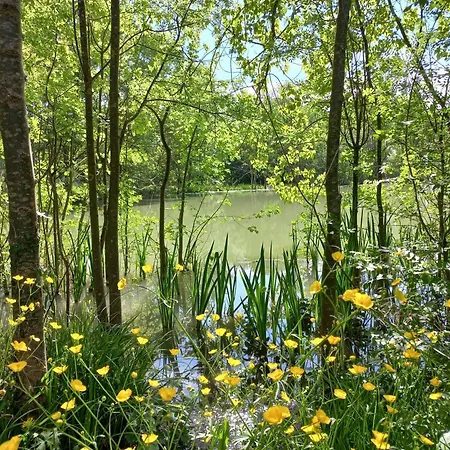 Domaine De Fontsauzine - Et D'hotes 3*