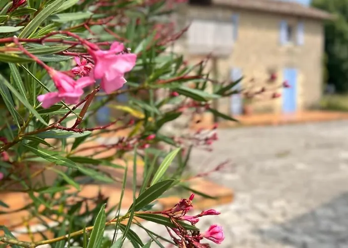 Domaine De Fontsauzine - Et D'hotes 3*