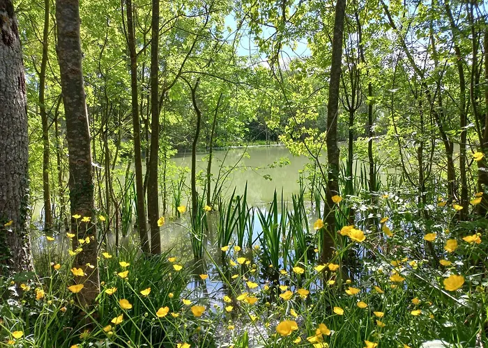 Domaine De Fontsauzine - Et D'hotes 3*